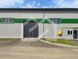 WhatsApp Image 2025-08-12 at 10.58.37.jpeg