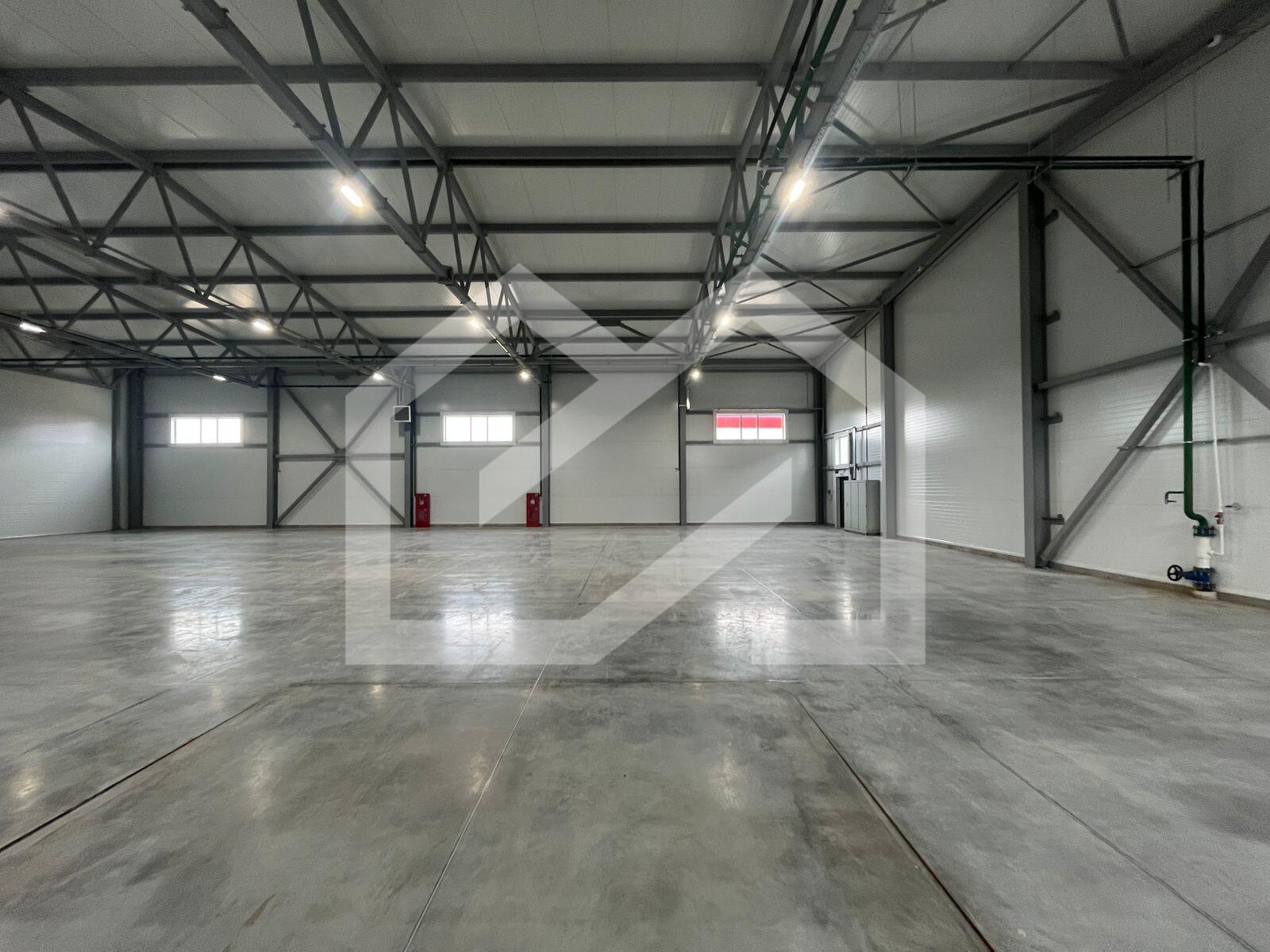 WhatsApp Image 2025-08-12 at 10.58.41 (1).jpeg