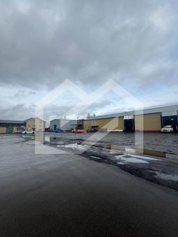 WhatsApp Image 2025-10-21 at 12.50.25 (7).jpeg