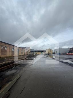 WhatsApp Image 2025-10-21 at 12.50.26.jpeg