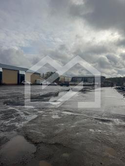 WhatsApp Image 2025-10-21 at 12.50.25 (5).jpeg