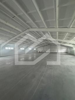 WhatsApp Image 2025-10-21 at 12.50.25 (1).jpeg