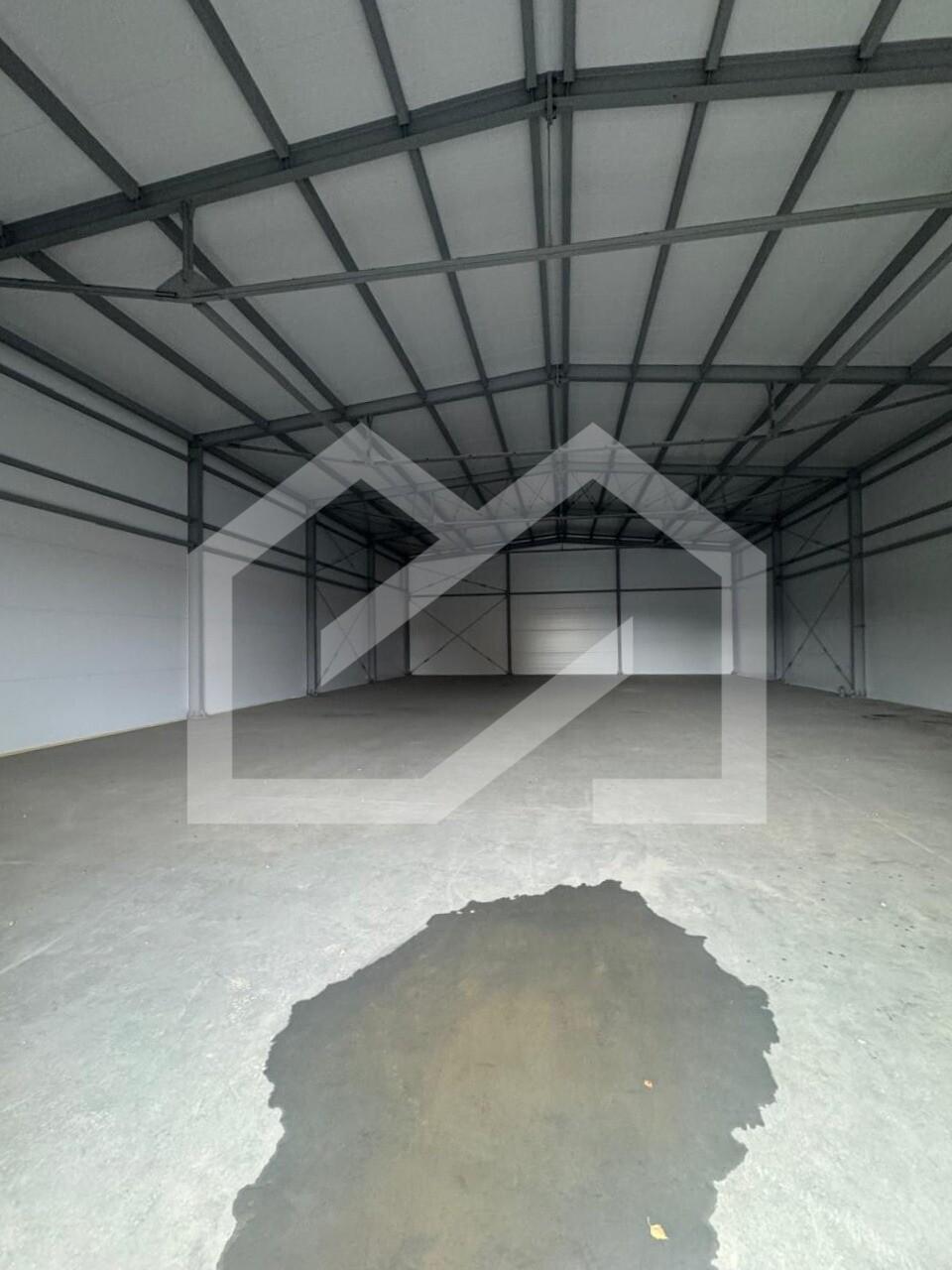 WhatsApp Image 2025-10-21 at 12.50.25.jpeg