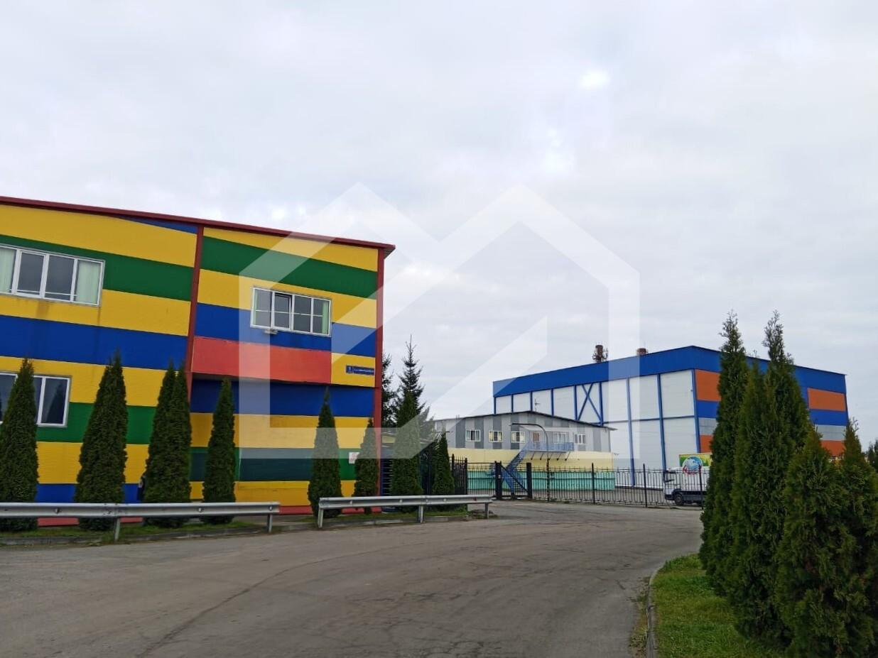 WhatsApp Image 2025-10-22 at 23.16.07 (12).jpeg