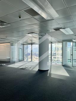 IMG_9255.jpeg