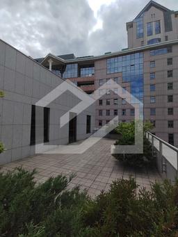 IMG_20250626_140641.jpg