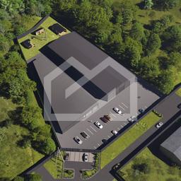 WhatsApp Image 2025-11-07 at 13.10.15 (1).jpeg