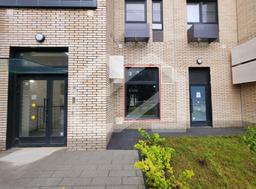 Screenshot at Nov 19 12-08-47.png