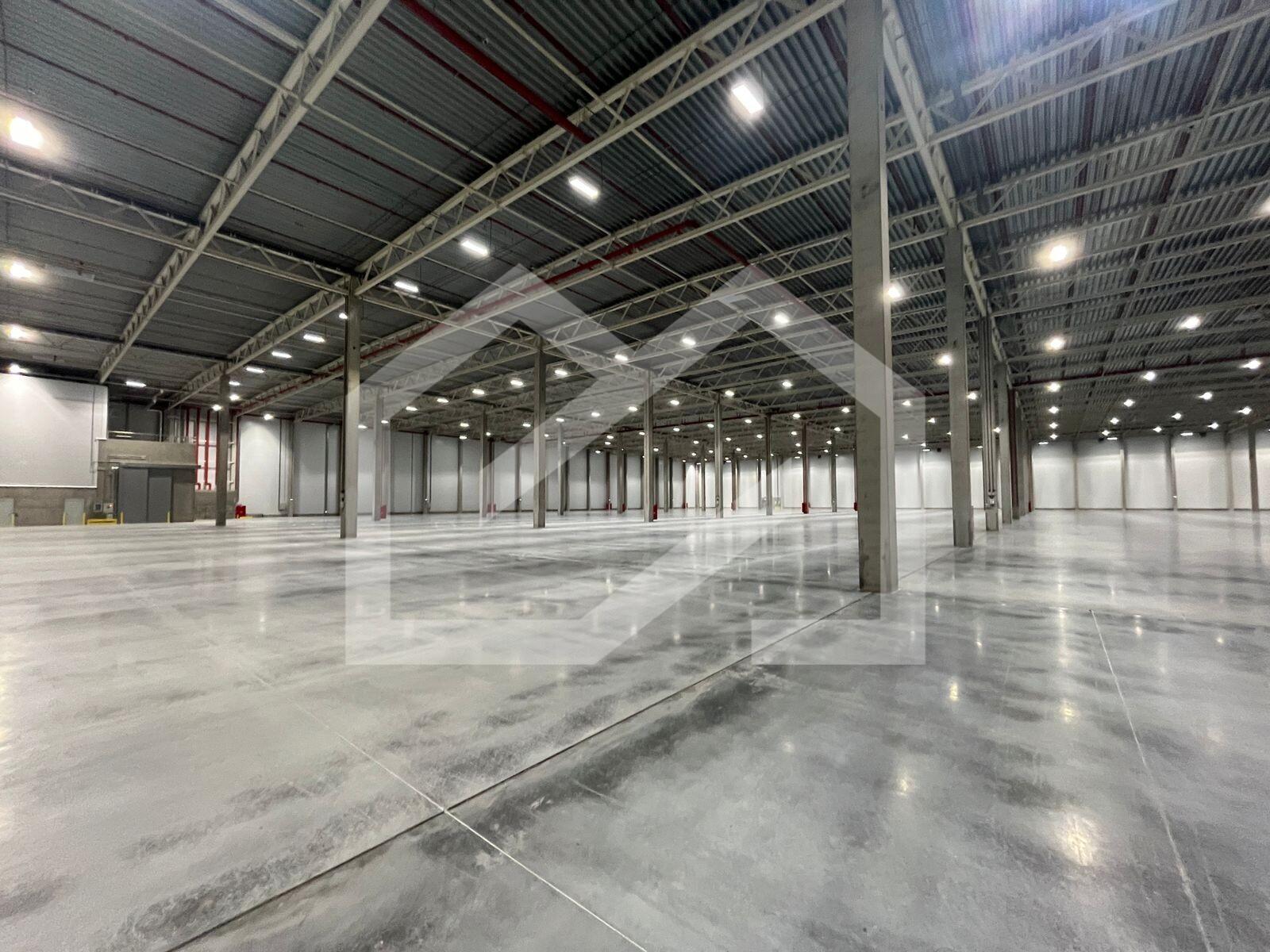 WhatsApp Image 2025-10-07 at 10.30.46 (4).jpeg