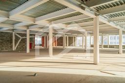 Копия DSC04491-Enhanced-NR.jpg