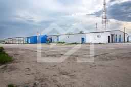 _E6A6873.jpg