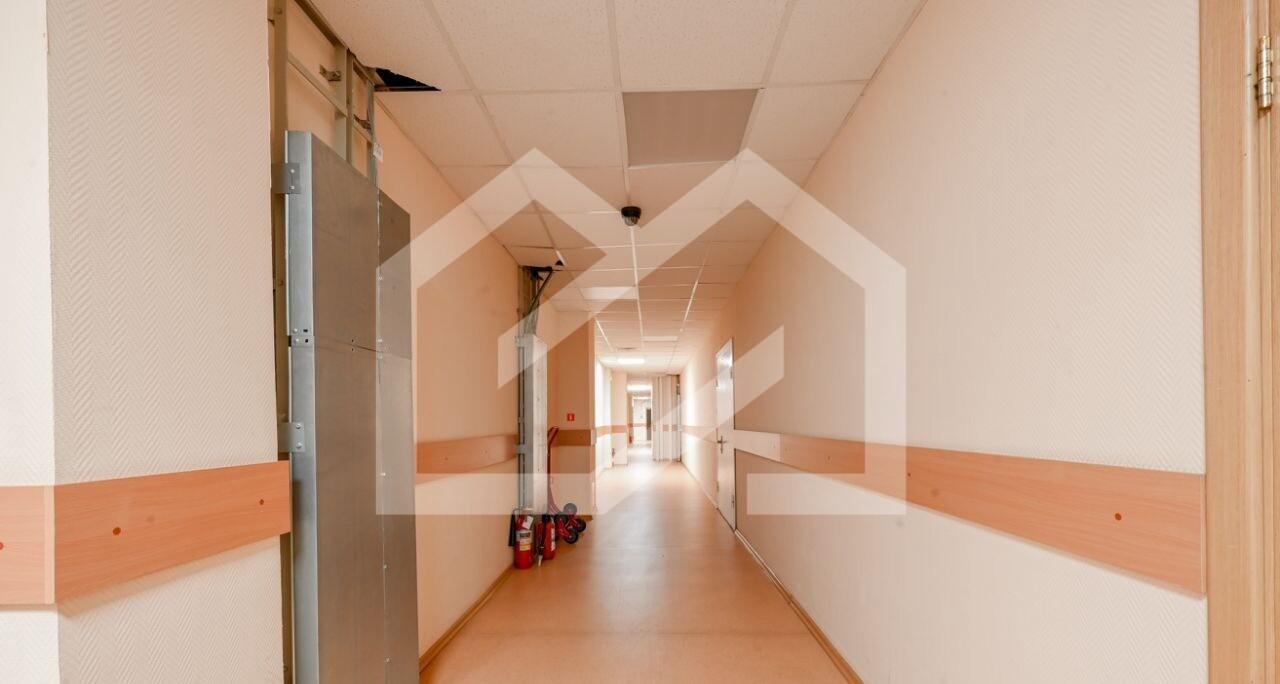 6.jpeg