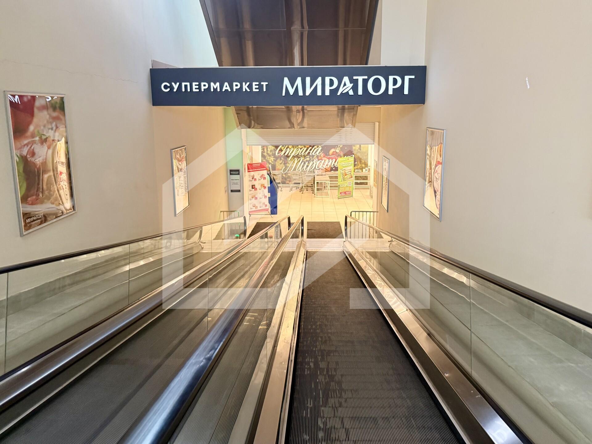 IMG_1771.jpeg