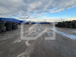 WhatsApp Image 2025-12-02 at 10.35.58 (1).jpeg