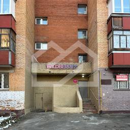 WhatsApp Image 2025-12-08 at 11.17.48.jpeg