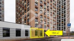 Амурский 4.png