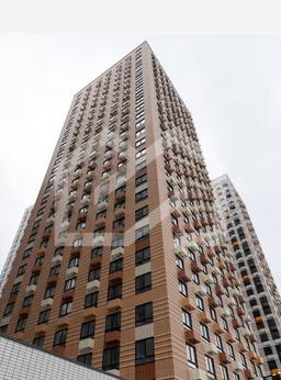 Амурский 1.png