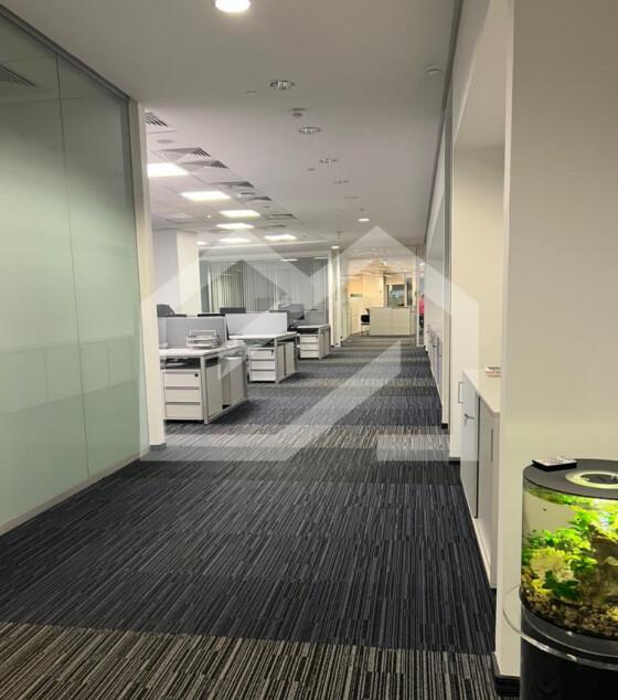 Снимок экрана 2025-12-11 160522.png