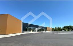 Screenshot 2025-12-15 161410.png