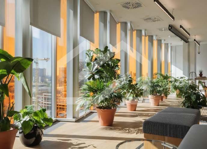 Вакансия Space 1 + JET 14.01.26_Страница_49_Изображение_0002.jpg