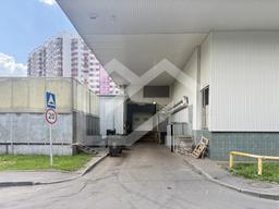 IMG_8246.jpeg
