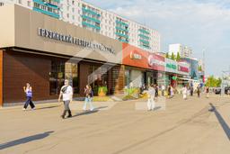 DSC07978.jpg