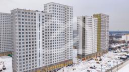 DJI_20260113164821_0627_D.jpg