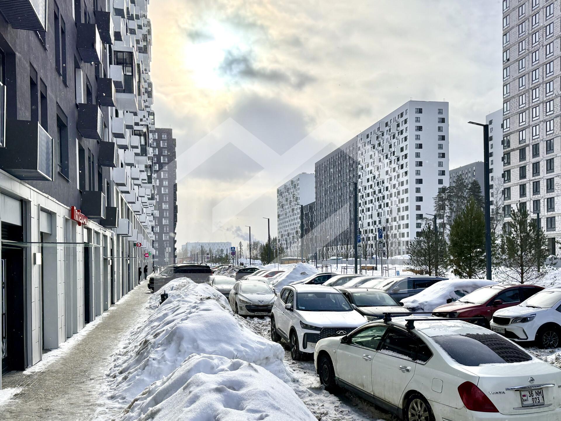 Копия IMG_8888.jpeg