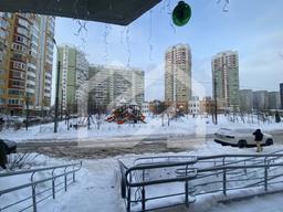 IMG_7670.jpg