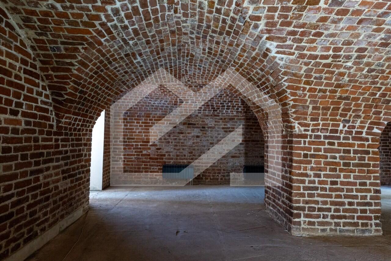 5465207556608299260.jpg