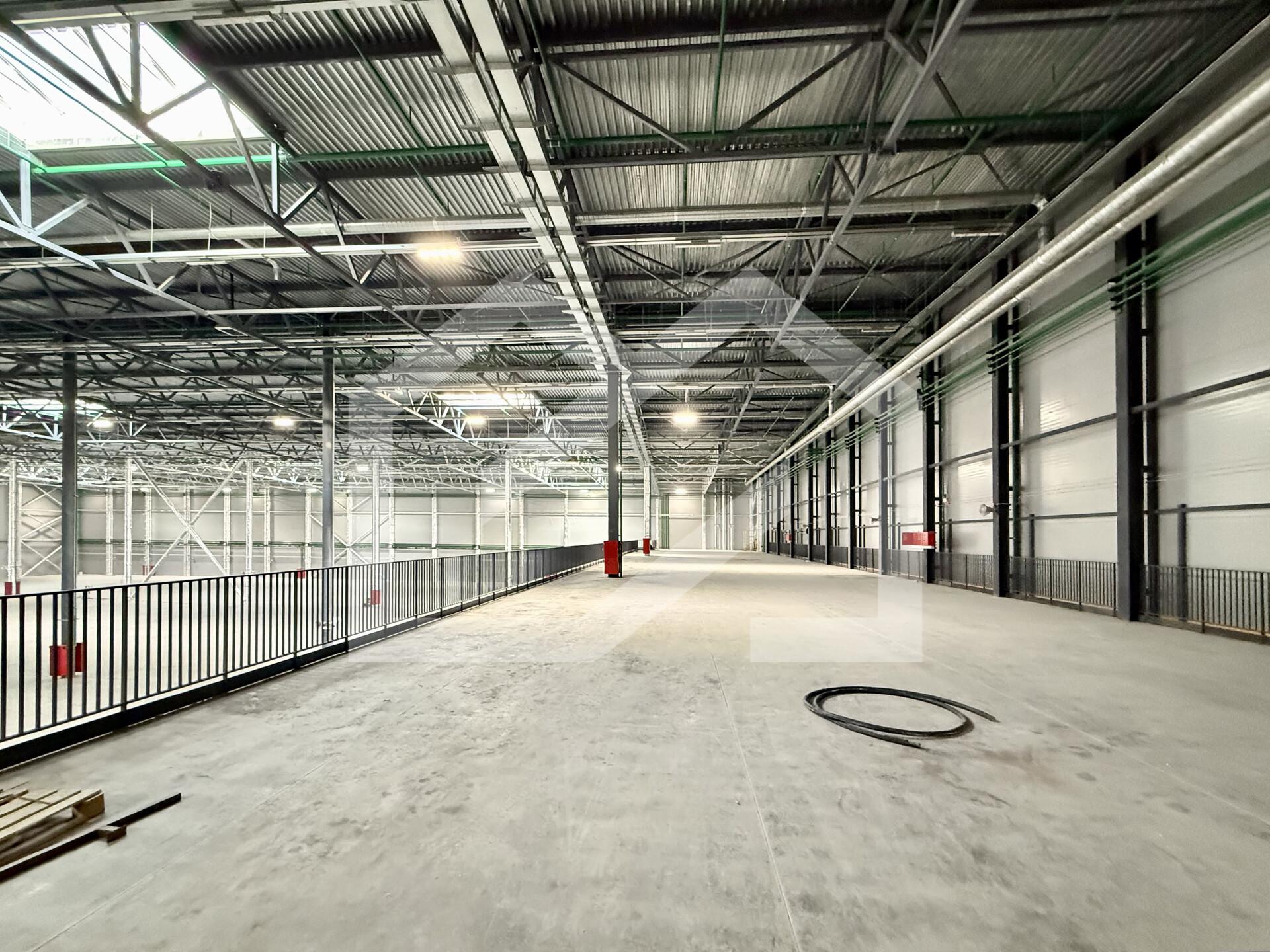 Копия IMG_8665.jpeg