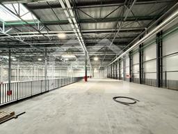 Копия IMG_8665.jpeg