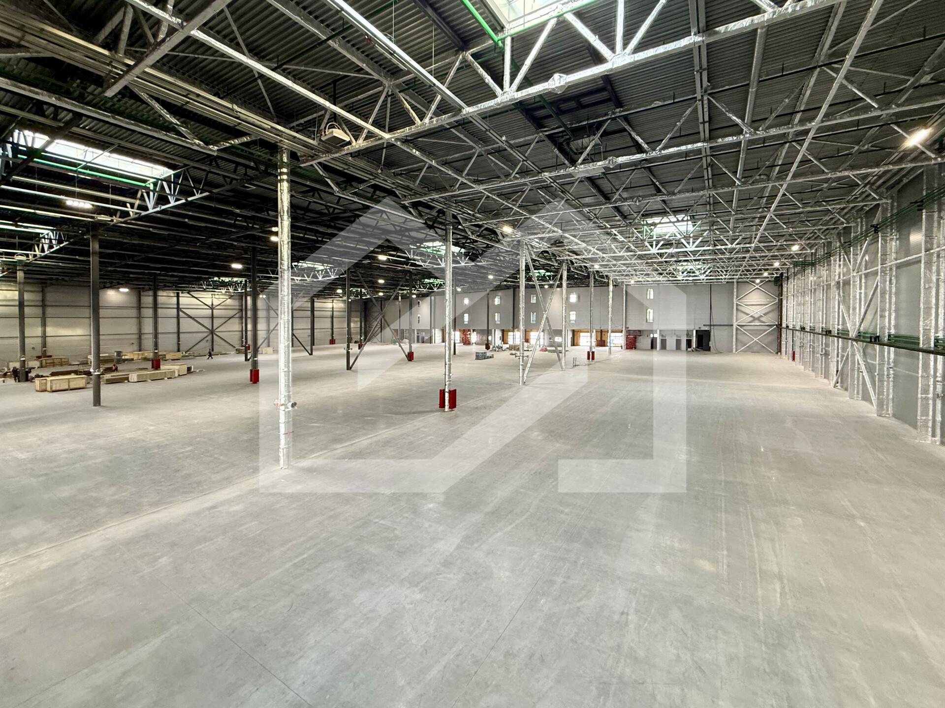 Копия IMG_8663.jpeg