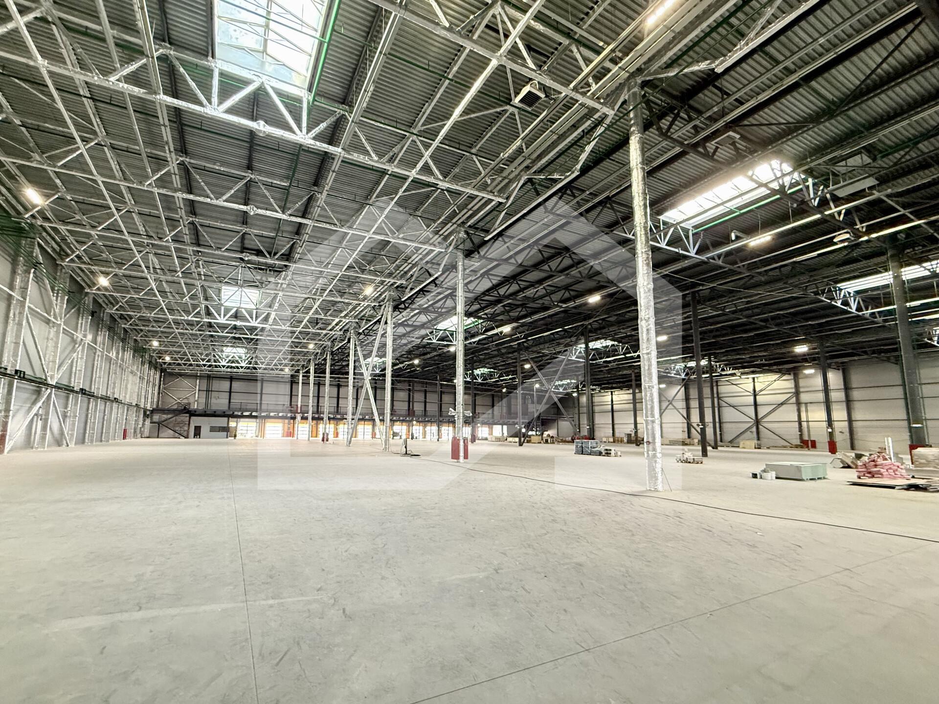 Копия IMG_8656.jpeg