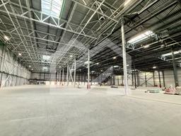 Копия IMG_8656.jpeg