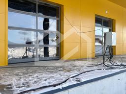 Копия IMG_8648.jpeg