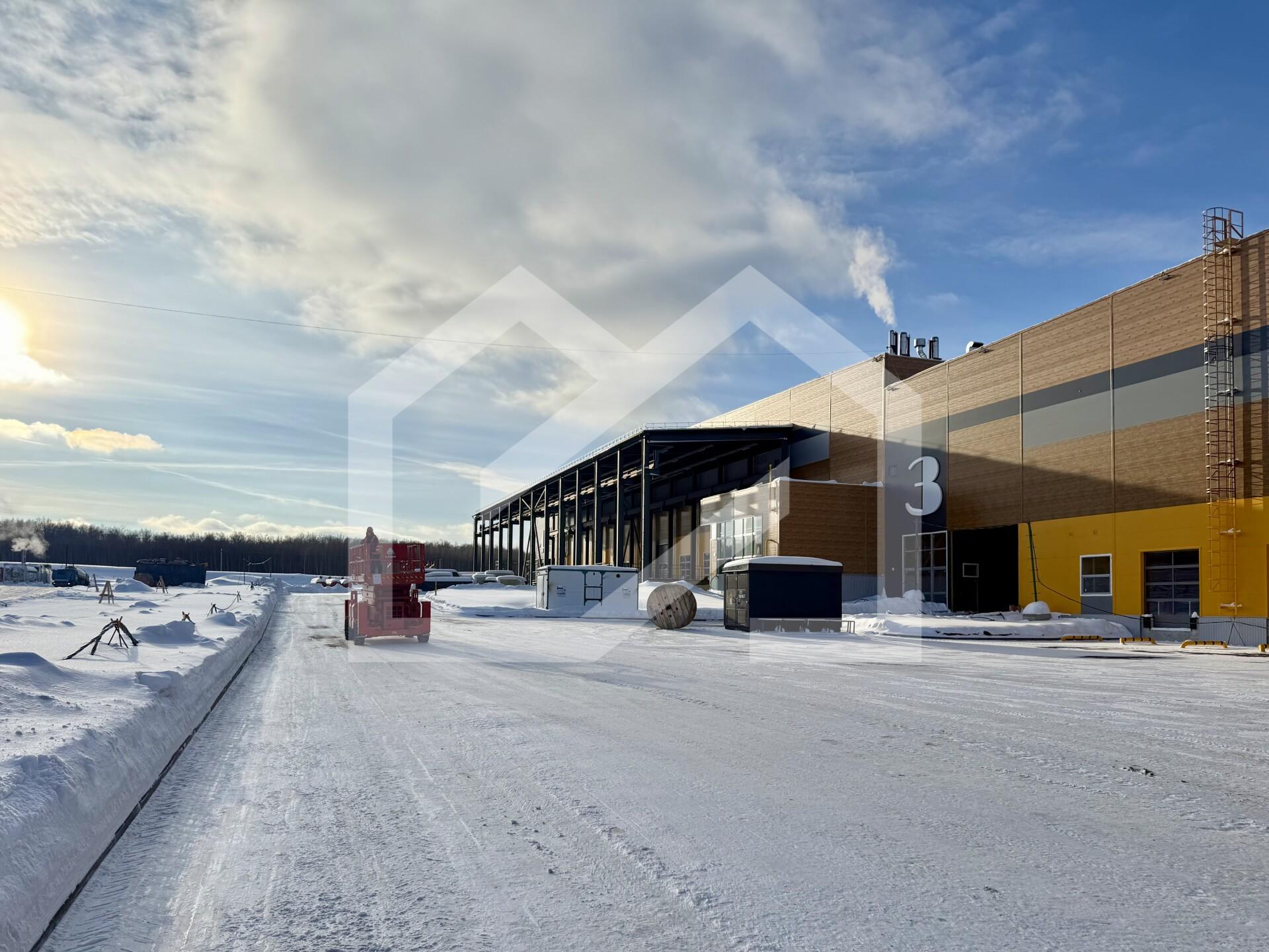 Копия IMG_8677.jpeg