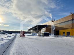 Копия IMG_8677.jpeg