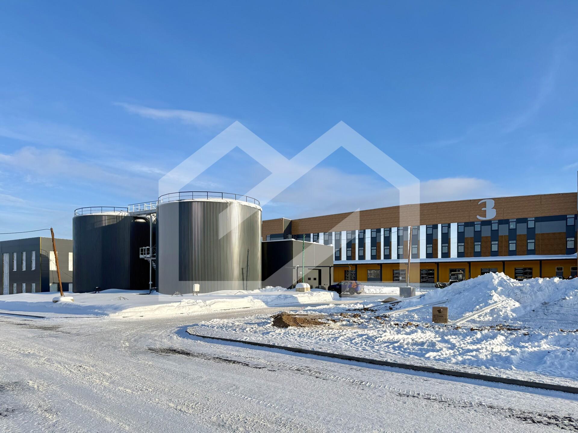 Копия IMG_8707.jpeg