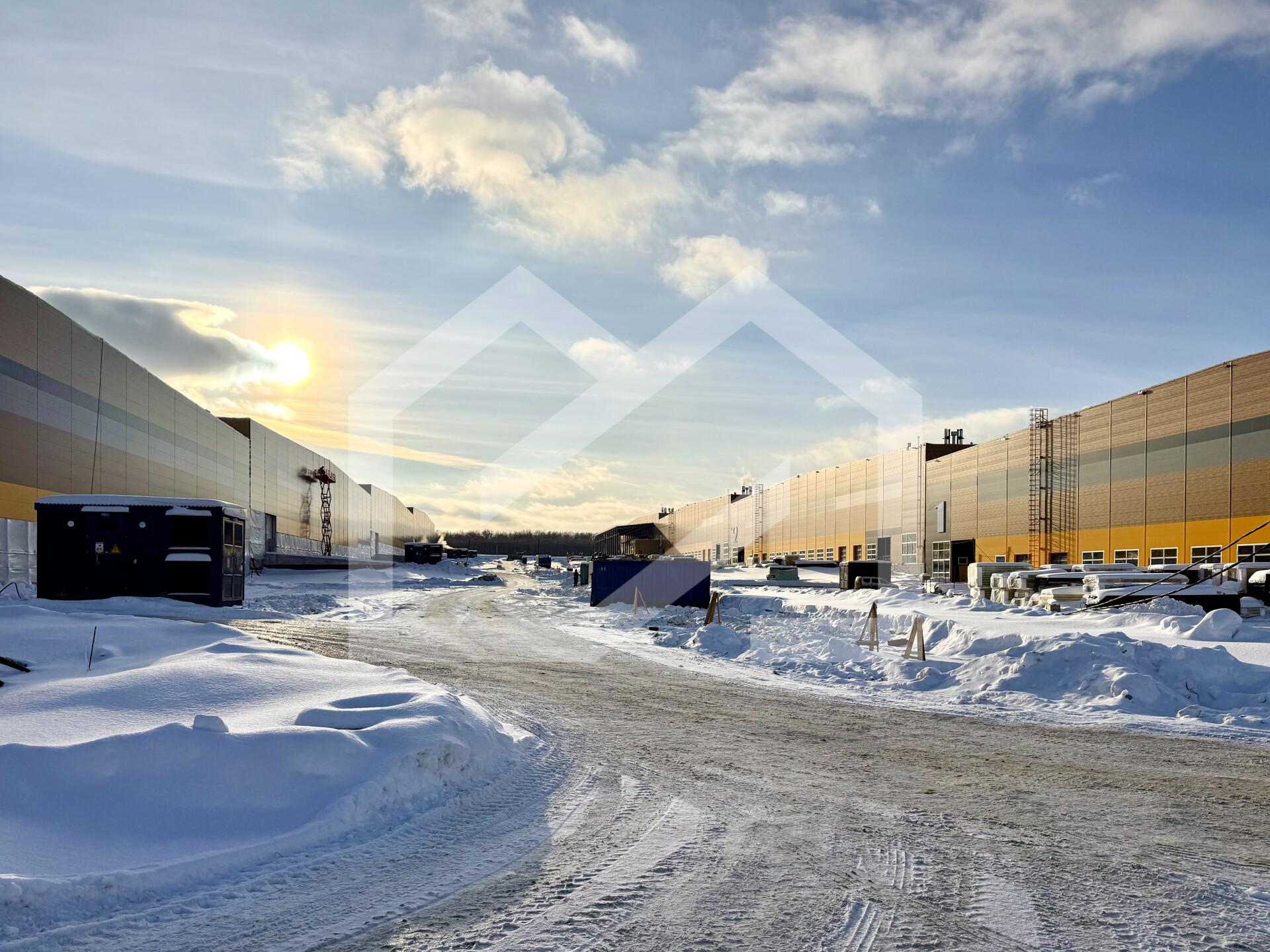 Копия IMG_8698.jpeg