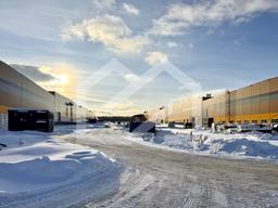 Копия IMG_8698.jpeg