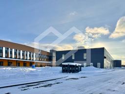 Копия IMG_8704.jpeg