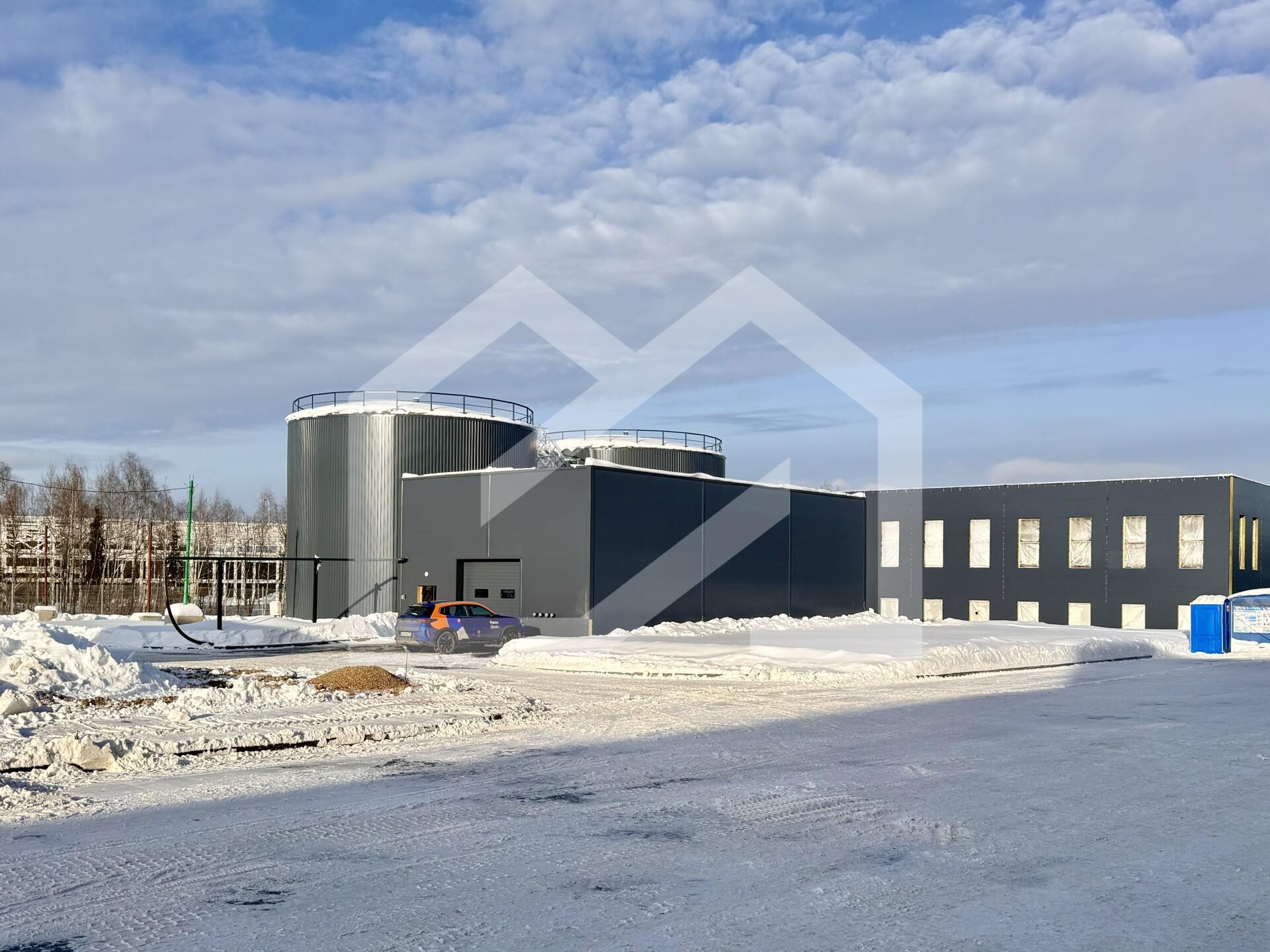 Копия IMG_8644.jpeg