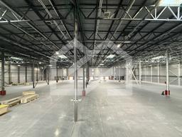 Копия IMG_8664.jpeg