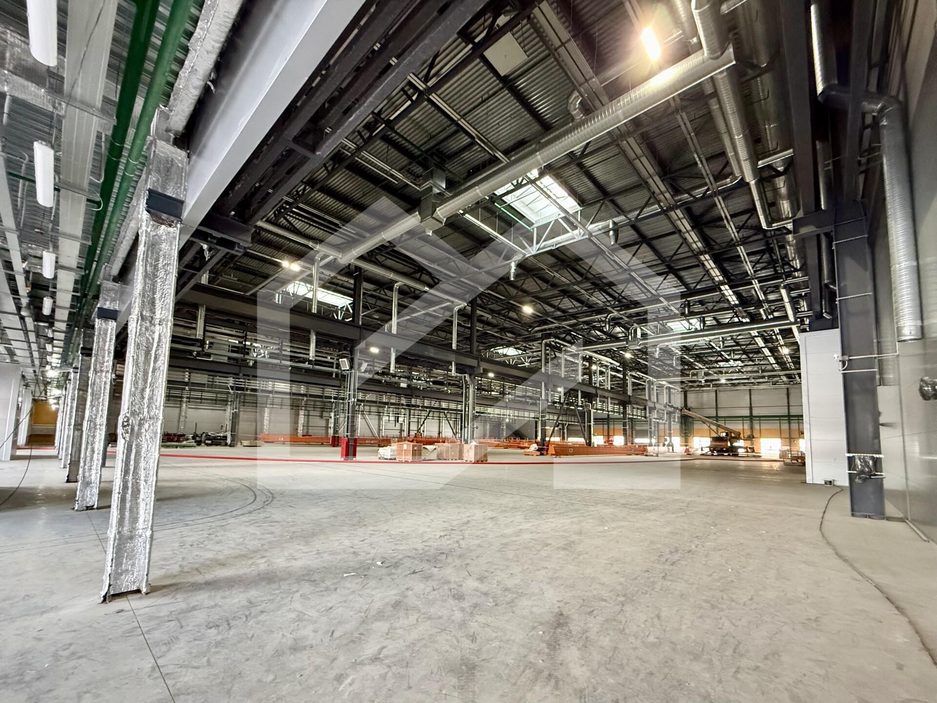 Копия IMG_8634.jpeg