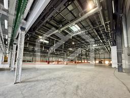 Копия IMG_8634.jpeg