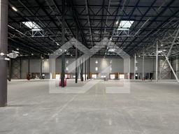 Копия IMG_8672.jpeg