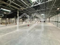 Копия IMG_8663.jpeg