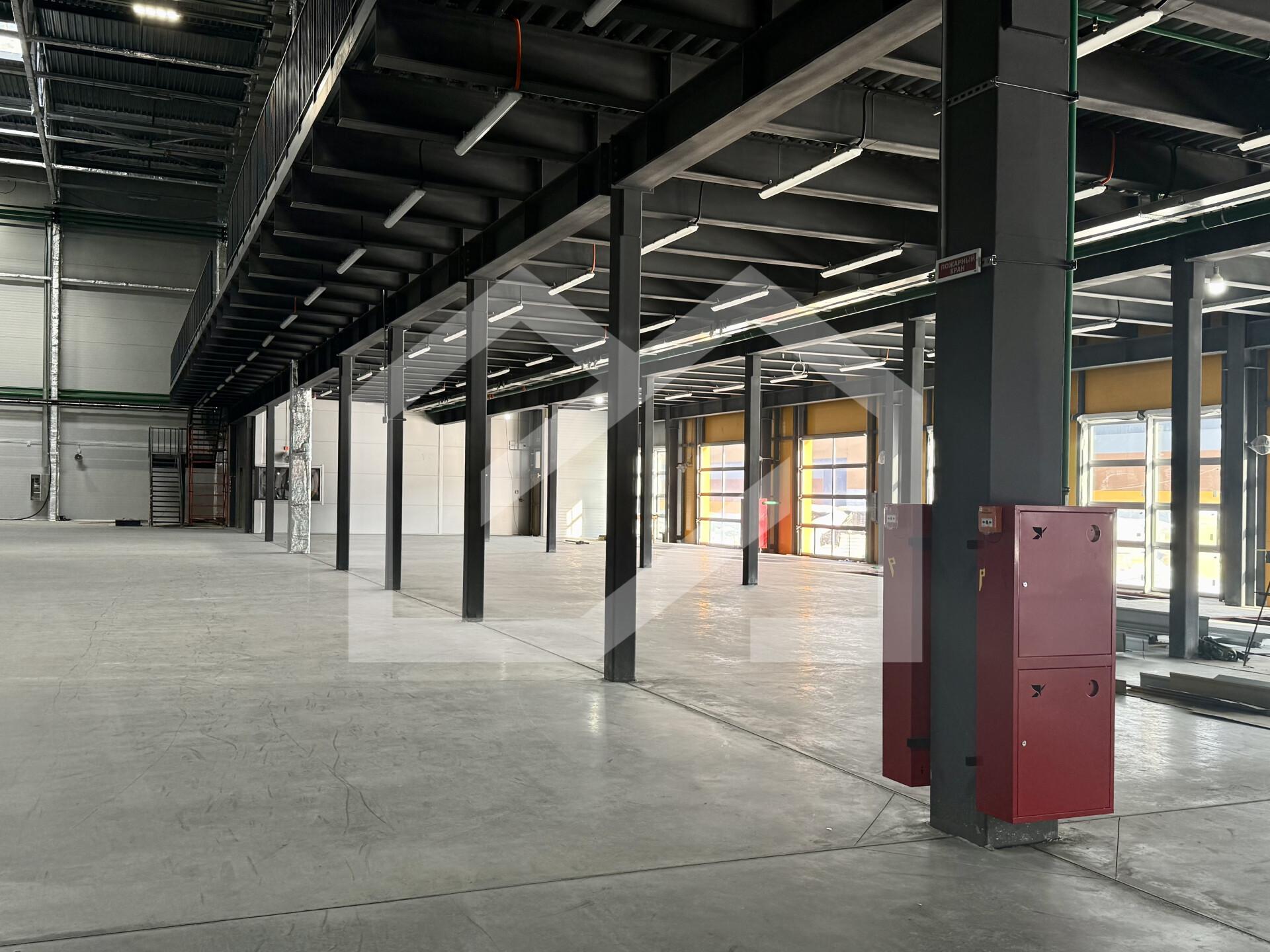 Копия IMG_8670.jpeg