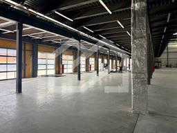 Копия IMG_8673.jpeg